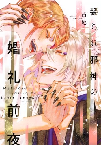 娶られ邪神の婚礼前夜の表紙