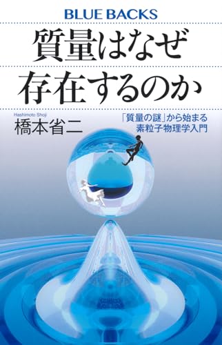 質量はなぜ存在するのか 「質量の謎」から始まる素粒子物理学入門