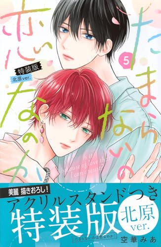 たまらないのは恋なのか（5）特装版　北原ver．