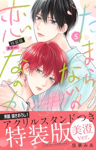 たまらないのは恋なのか（5）特装版　美澄ver．