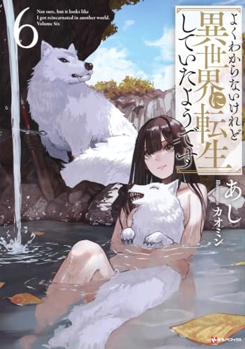 よくわからないけれど異世界に転生していたようです6