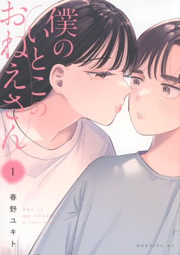 僕のいとこのおねえさん(1)
