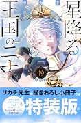 星降る王国のニナ(19)特装版