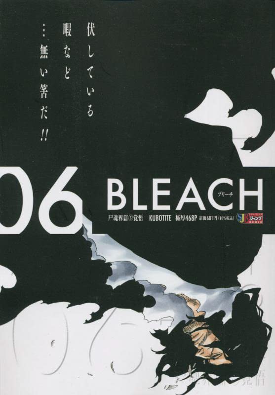 BLEACH(06)