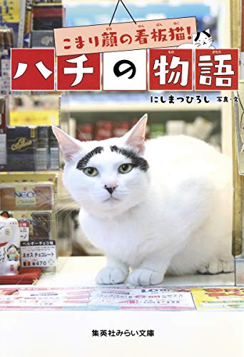 こまり顔の看板猫! ハチの物語