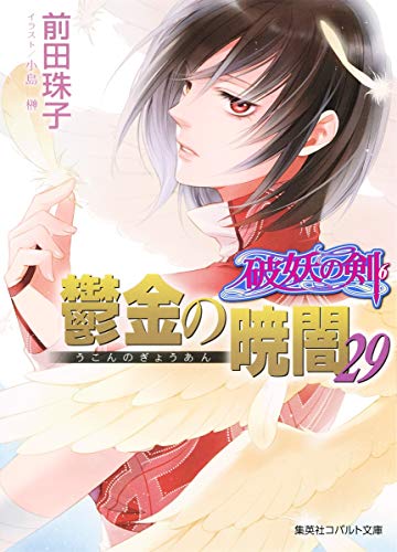 破妖の剣(6) 鬱金の暁闇 29