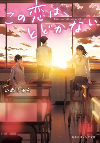 この恋は、とどかない