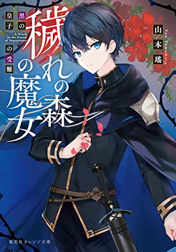 穢れの森の魔女 黒の皇子の受難