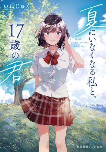 夏にいなくなる私と、17歳の君