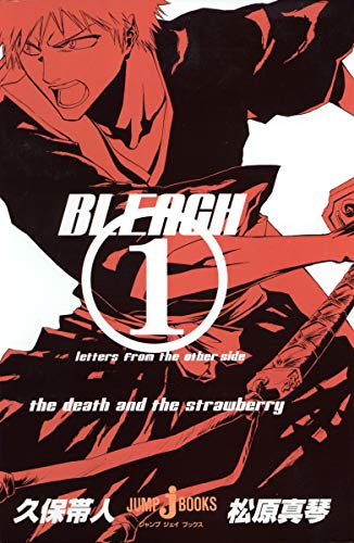 Bleach: Letters From The Other Side cover