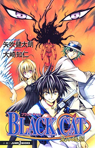 BLACK CAT星の残照