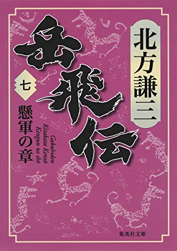 岳飛伝 7 懸軍の章