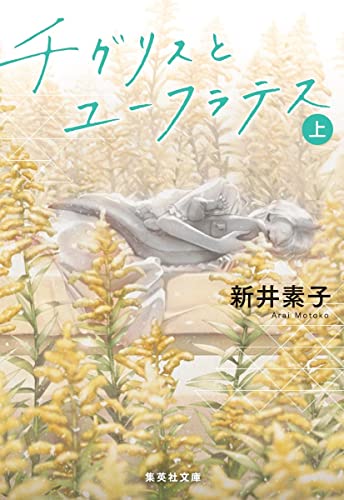 チグリスとユーフラテス 上