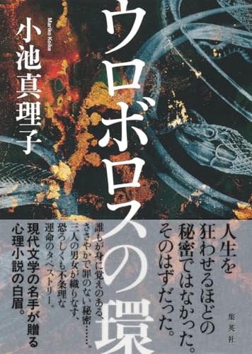 一気にわかる！池上彰の世界情勢２０１８ 国際紛争、一触即発編