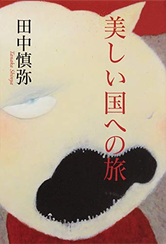 田中慎弥『美しい国への旅』表紙