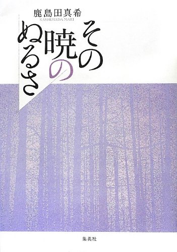 鹿島田真希『その暁のぬるさ』表紙