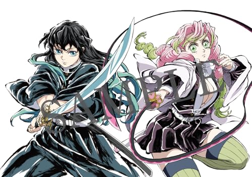 アニメ「鬼滅の刃」イラスト記録集 肆