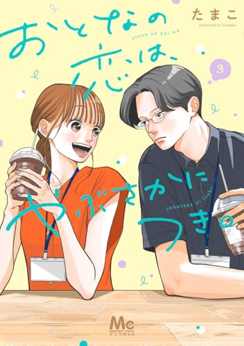 おとなの恋は、やぶさかにつき。 3