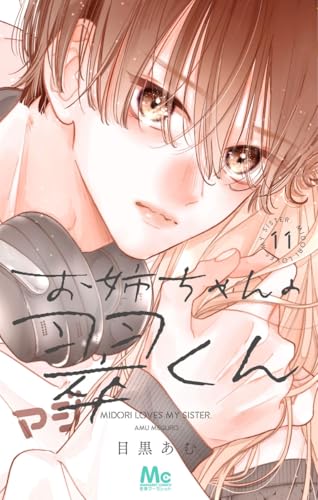 お姉ちゃんの翠くん 11