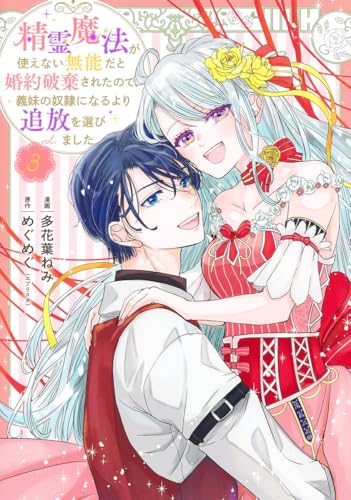 精霊魔法が使えない無能だと婚約破棄されたので、義妹の奴隷になるより追放を選びました 3