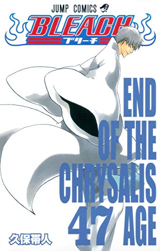 BLEACH-ブリーチ-(47)