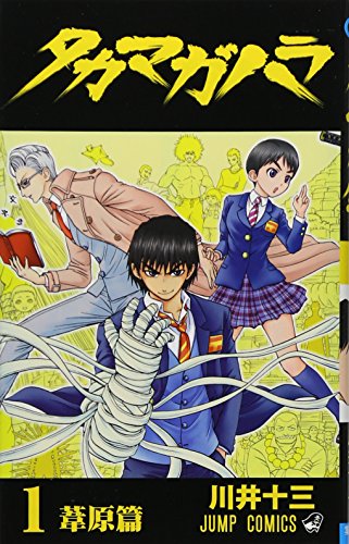 タカマガハラ 1