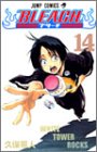 BLEACH-ブリーチ- 14