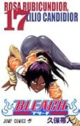 BLEACH-ブリーチ- 17