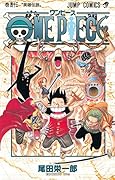 ONE PIECE 43