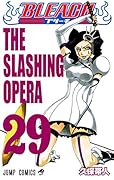 BLEACH-ブリーチ- 29