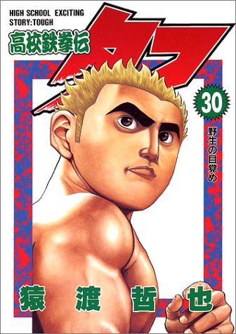 高校鉄拳伝タフ(第30巻)