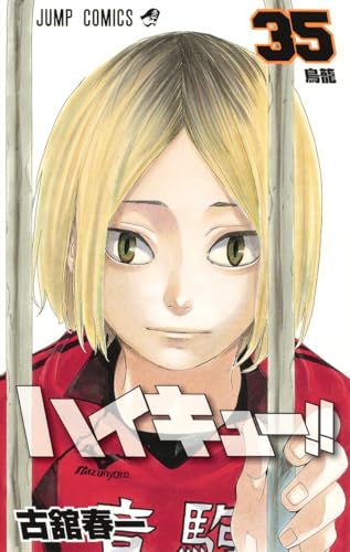 ハイキュー!! 35