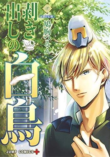 剥き出しの白鳥 3