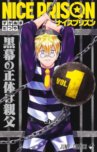 NICE PRISON 1