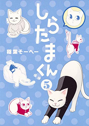 しらたまくん 5