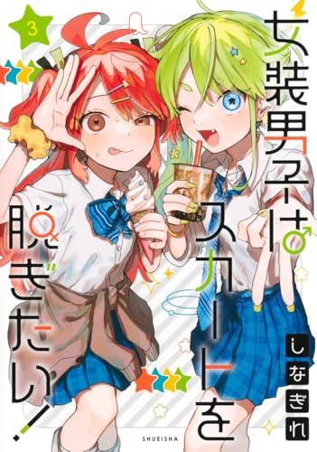 女装男子はスカートを脱ぎたい！ 3