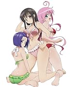 To LOVEるアニメDVD付限定版(15)