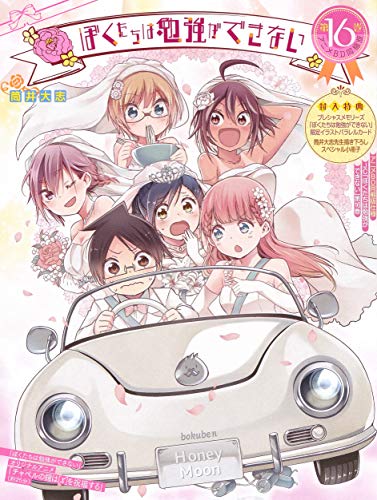 ぼくたちは勉強ができない(16)特装版 アニメBD同梱版