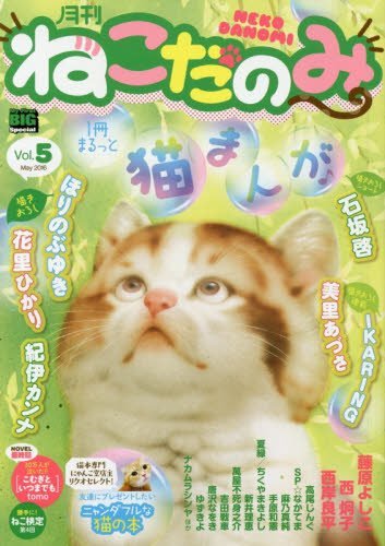 月刊ねこだのみ(5)