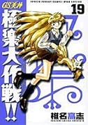 GS美神(みかみ) 極楽大作戦!!〔新装版〕(19)