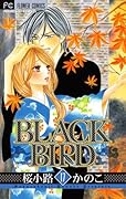 BLACK BIRD 17