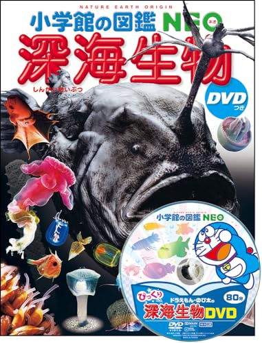一気にわかる！池上彰の世界情勢２０１８ 国際紛争、一触即発編