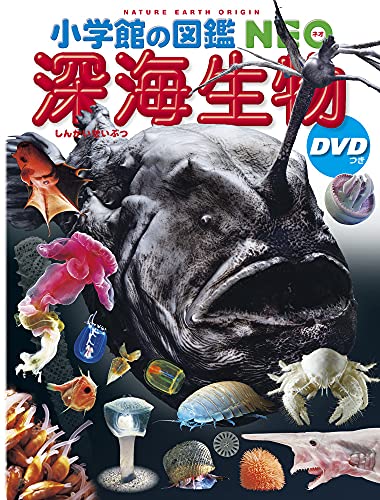 Amazonで藤原 義弘の小学館の図鑑NEO 深海生物 DVDつき (小学館の図鑑・NEO 26)。アマゾンならポイント還元本が多数。藤原 義弘作品ほか、お急ぎ便対象商品は当日お届けも可能。また小学館の図鑑NEO 深海生物 DVDつき (小学館の図鑑・NEO 26)もアマゾン配送商品なら通常配送無料。