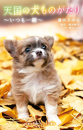 天国の犬ものがたり〜いつも一緒〜