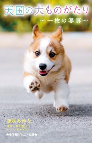 天国の犬ものがたり 〜一枚の写真〜