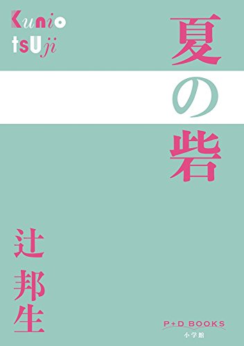 夏の砦