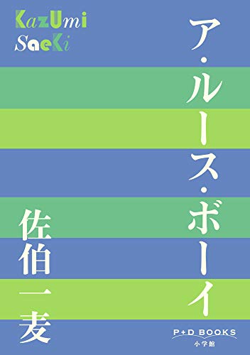 佐伯一麦『ア・ルース・ボーイ』表紙