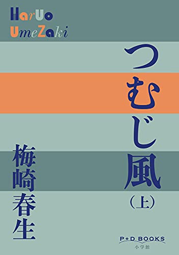 つむじ風(上)