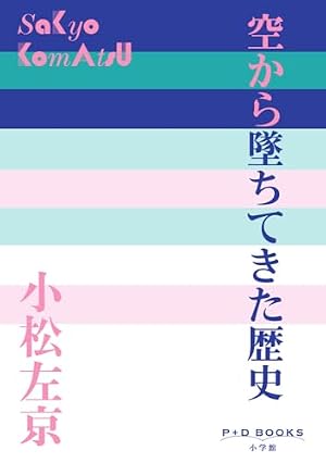 P+D BOOKS 空から墜ちてきた歴史 書影