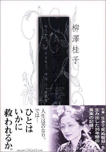 一気にわかる！池上彰の世界情勢２０１８ 国際紛争、一触即発編